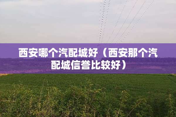 西安哪个汽配城好（西安那个汽配城信誉比较好）