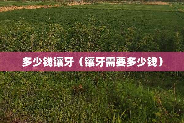 多少钱镶牙（镶牙需要多少钱）