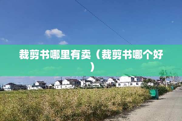 裁剪书哪里有卖（裁剪书哪个好）