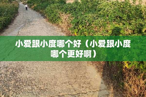小爱跟小度哪个好（小爱跟小度哪个更好啊）