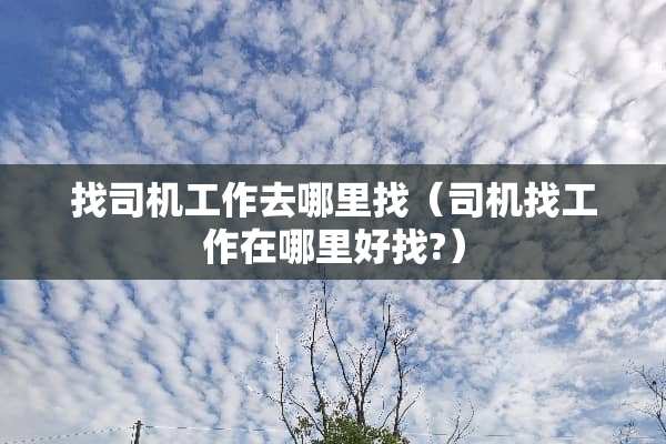 找司机工作去***（司机找工作在哪里好找?）
