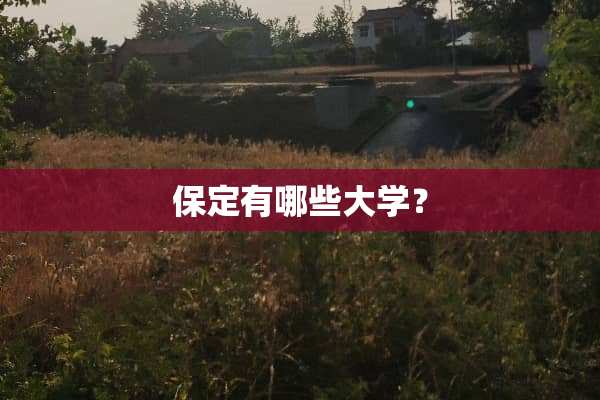 保定有哪些大学？
