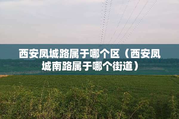 西安凤城路属于哪个区（西安凤城南路属于哪个街道）