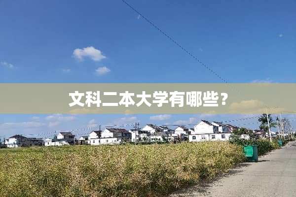 文科二本大学有哪些？