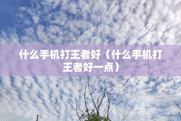 什么手机打王者好（什么手机打王者好一点）