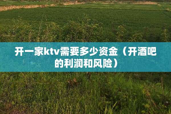 开一家ktv需要多少资金（开酒吧的利润和风险）