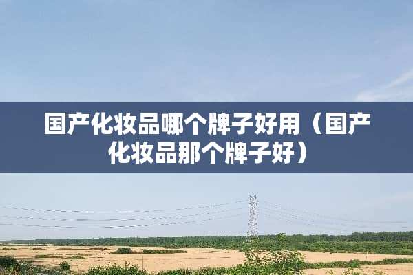 国产化妆品哪个牌子好用（国产化妆品那个牌子好）