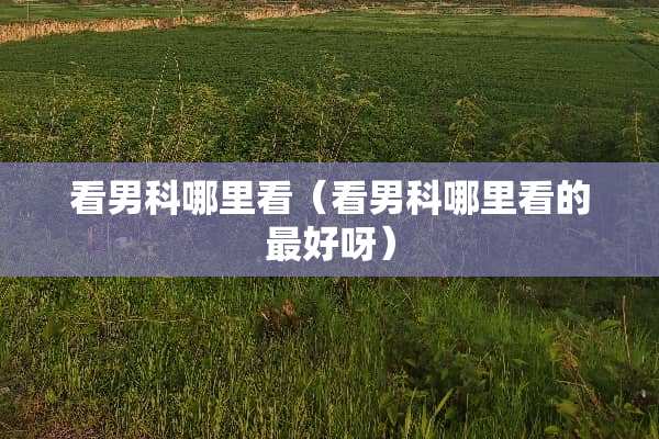 看男科哪里看（看男科哪里看的最好呀）