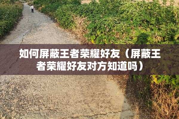 如何屏蔽王者荣耀好友（屏蔽王者荣耀好友对方知道吗）