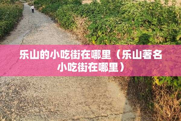 乐山的小吃街在哪里（乐山著名小吃街在哪里）
