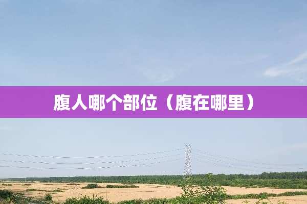 腹人哪个部位（腹在哪里）