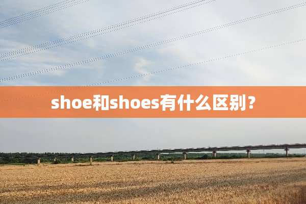 shoe和shoes有什么区别？