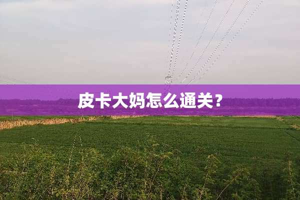 皮卡大妈怎么通关？