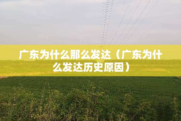 广东为什么那么发达（广东为什么发达历史原因）