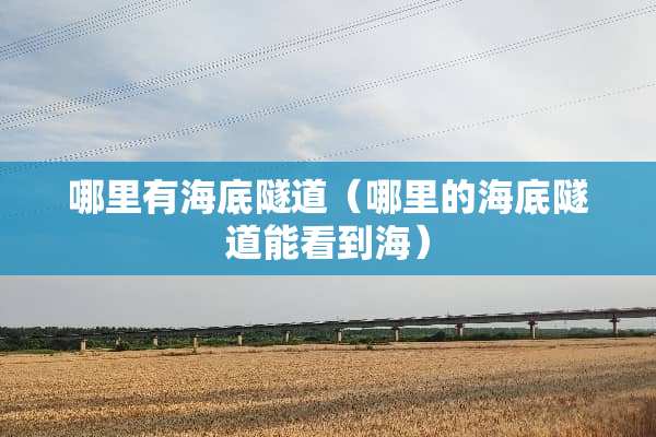 哪里有海底隧道（哪里的海底隧道能看到海）