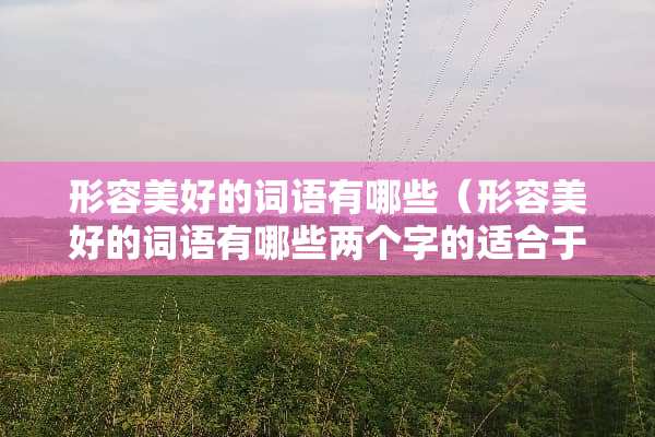 形容美好的词语有哪些（形容美好的词语有哪些两个字的适合于名字那种）