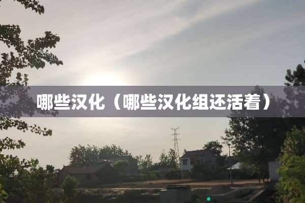 哪些汉化（哪些汉化组还活着）