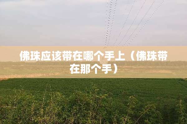 佛珠应该带在哪个手上（佛珠带在那个手）