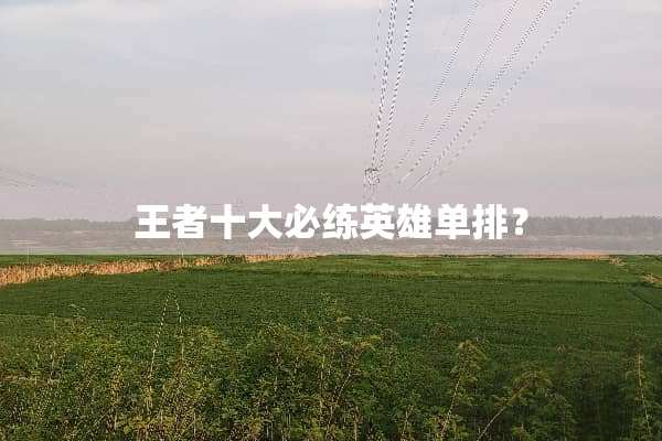 王者十大必练英雄单排？