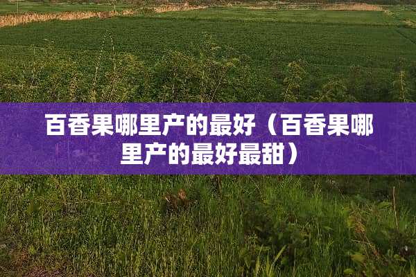 百香果哪里产的最好（百香果哪里产的最好最甜）