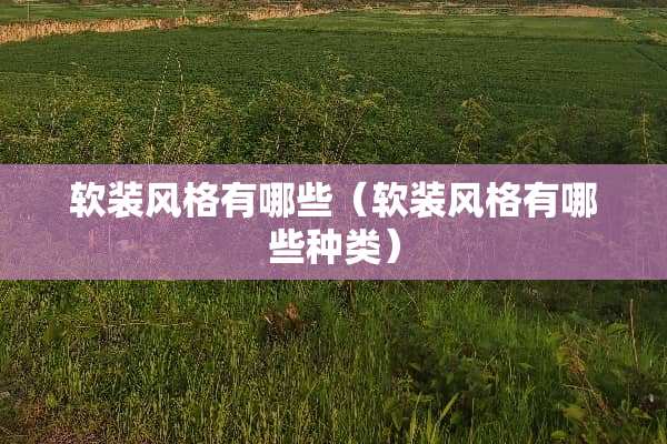 软装风格有哪些（软装风格有哪些种类）