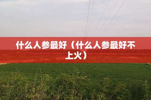 什么人参最好（什么人参最好不上火）