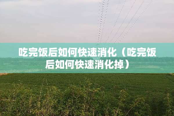 吃完饭后如何快速消化（吃完饭后如何快速消化掉）
