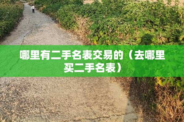 哪里有二手名表交易的（去哪里买二手名表）