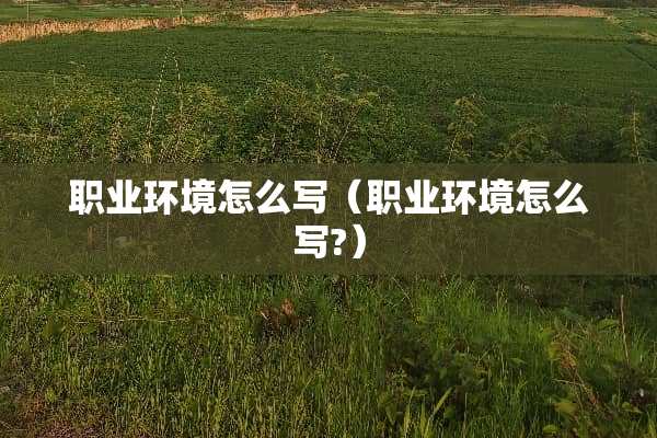职业环境怎么写（职业环境怎么写?）