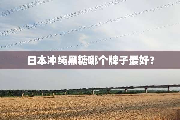 日本冲绳黑糖哪个牌子最好？