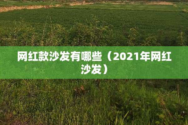 网红款沙发有哪些（2021年网红沙发）