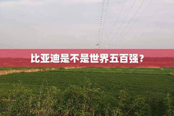比亚迪是不是世界五百强？
