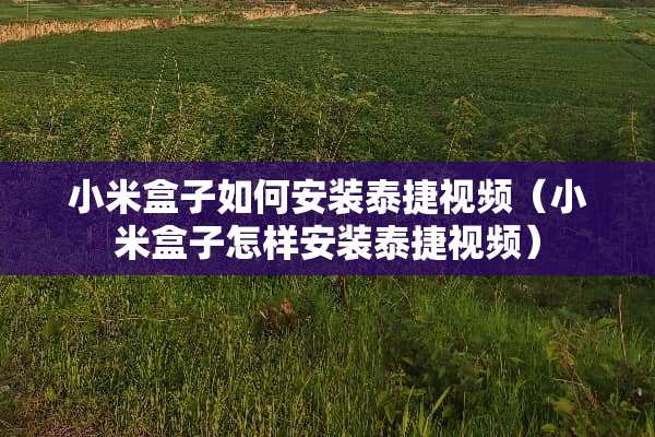 小米盒子如何安装泰捷视频（小米盒子怎样安装泰捷视频）