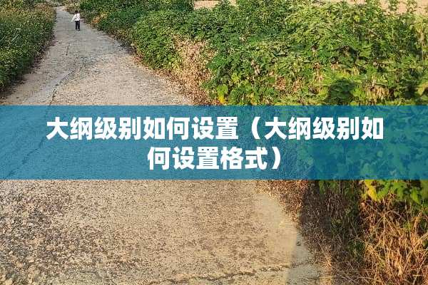大纲级别如何设置（大纲级别如何设置格式）
