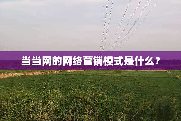 当当网的网络营销模式是什么？