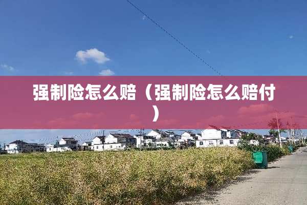 强制险怎么赔（强制险怎么赔付）
