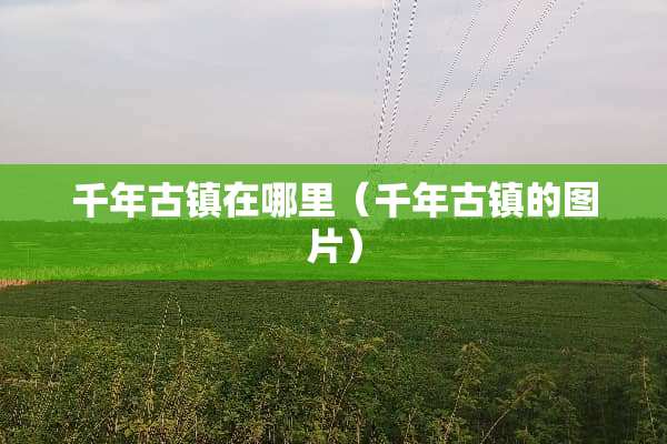 千年古镇在哪里（千年古镇的图片）