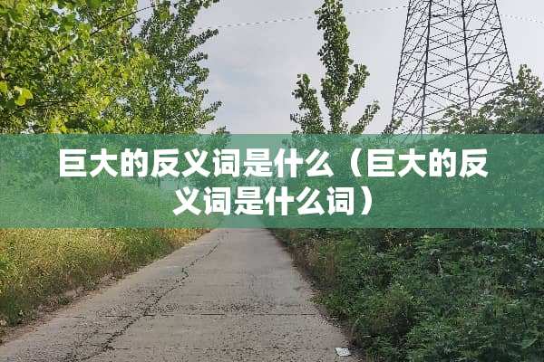 巨大的反义词是什么（巨大的反义词是什么词）