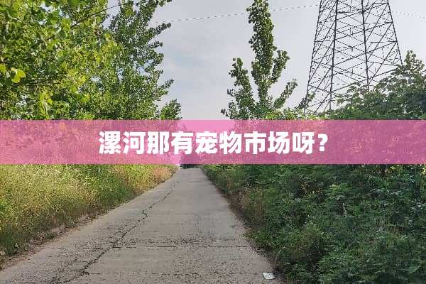 漯河那有宠物市场呀？