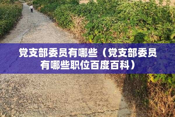 *支部委员有哪些（*支部委员有哪些职位百度百科）
