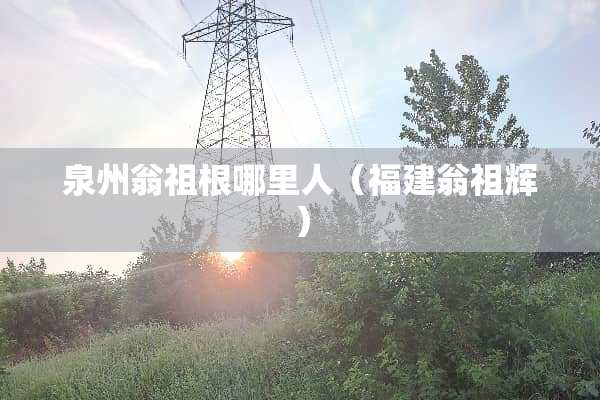 泉州翁祖根哪里人（福建翁祖辉）