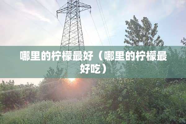 哪里的柠檬最好（哪里的柠檬最好吃）