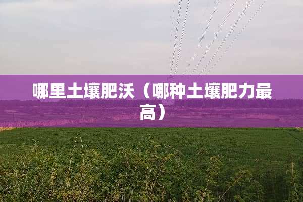 哪里土壤肥沃（哪种土壤肥力最高）