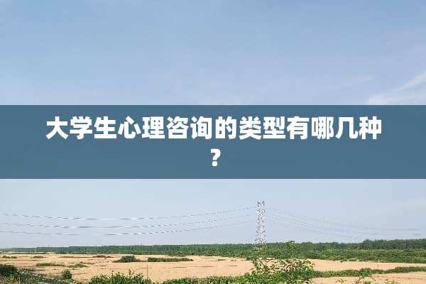 大学生心理咨询的类型有哪几种？