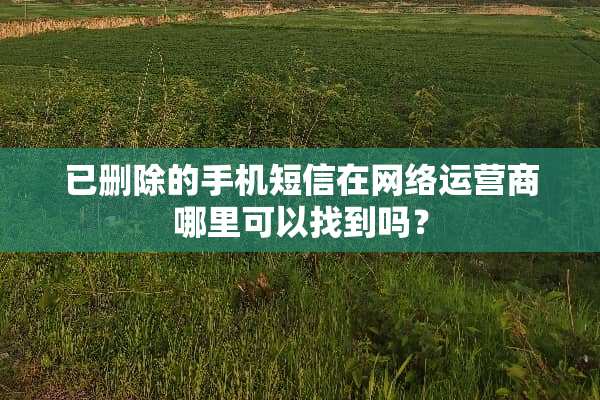 已删除的手机短信在网络运营商哪里可以找到吗？