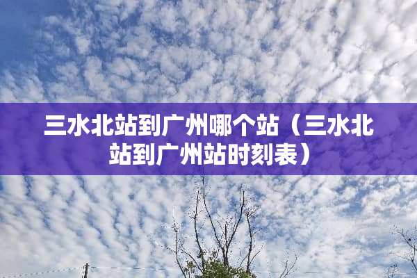 三水北站到广州哪个站（三水北站到广州站时刻表）