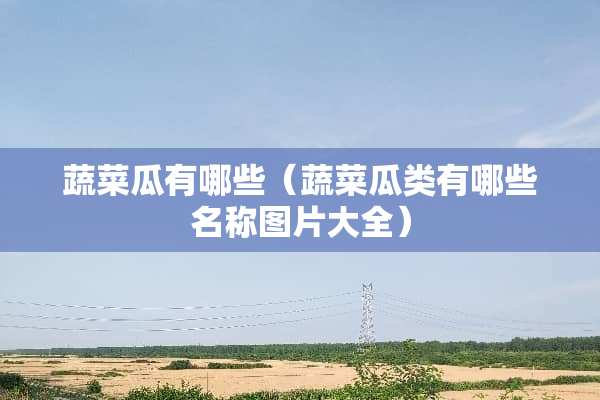 蔬菜瓜有哪些（蔬菜瓜类有哪些名称图片大全）