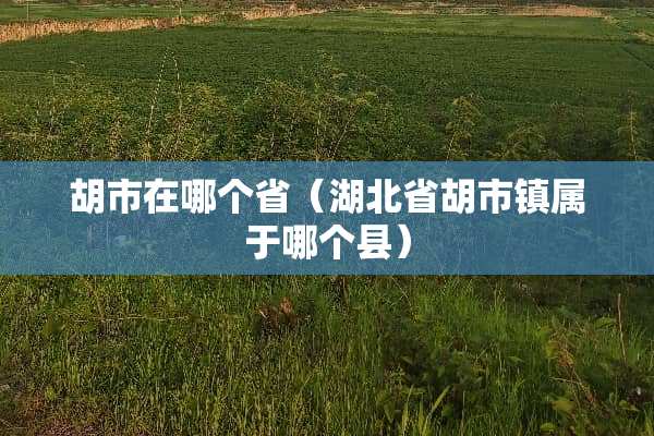 胡市在哪个省（湖北省胡市镇属于哪个县）