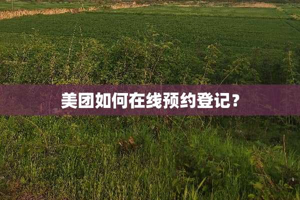 美团如何在线预约登记？