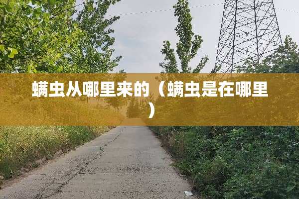 螨虫从哪里来的（螨虫是在哪里）